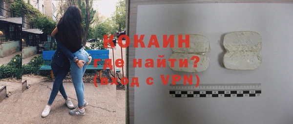 гидра Белокуриха