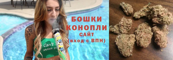 гидра Белокуриха